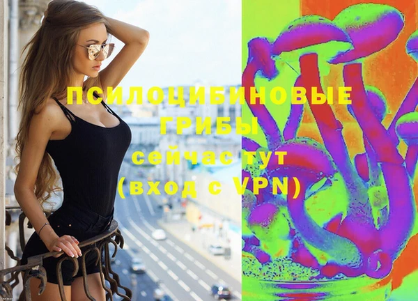 Альфа ПВП Алексеевка