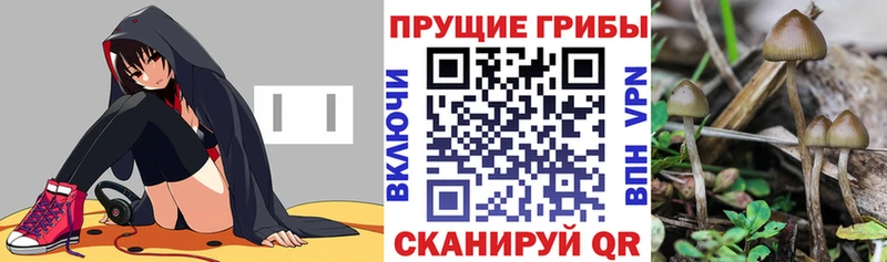 Галлюциногенные грибы MAGIC MUSHROOMS  Анжеро-Судженск 